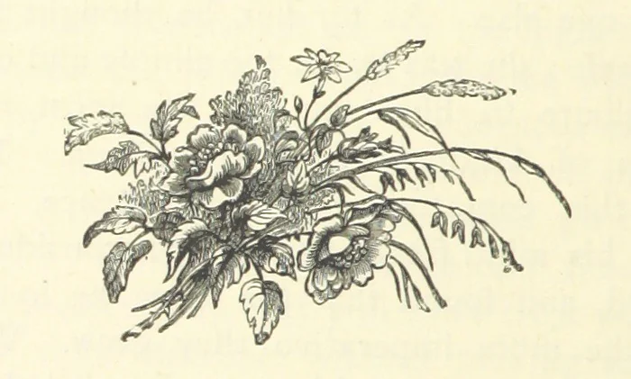 An illustration from Em; or, Spells and counter-spells, 1878, leaf 86