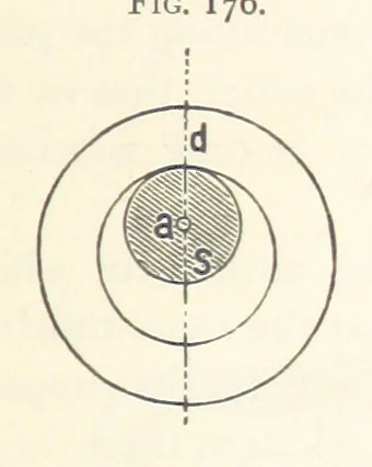 An illustration from Petroleum ... Together with the occurrence and uses of natural gas. Edited chiefly from the German of Prof. Hans Hoefer and Dr. Alexander Veith, by W. T. Brannt ... Illustrated, etc. (Based upon “Das Erdoel und seine Verwandten,” von Prof. H. Hoefer, and “Das Erdoel und seine Verarbeitung,” von Dr. A. Veith.), 1895, leaf 547