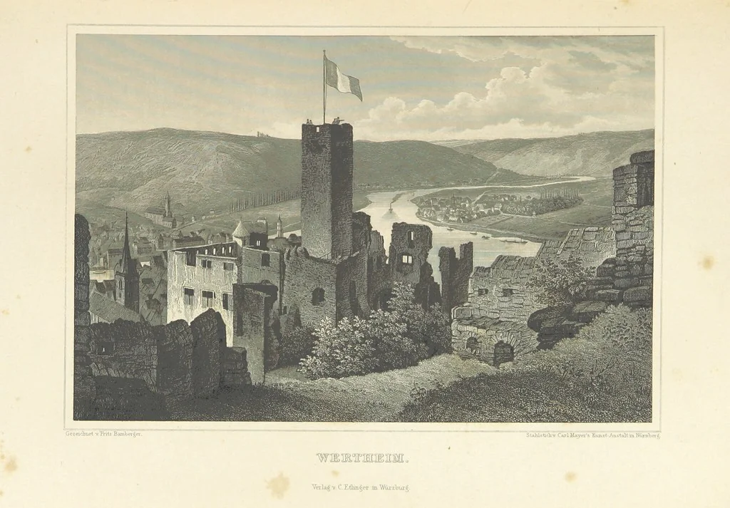 An illustration from Die Mainufer und ihre nächsten Umgebungen ... Mit 54 Stahlstichen, nach Originalzeichnungen von Fritz Bamberger. Nebst einer Stromkarte vom Main, 1844, leaf 363