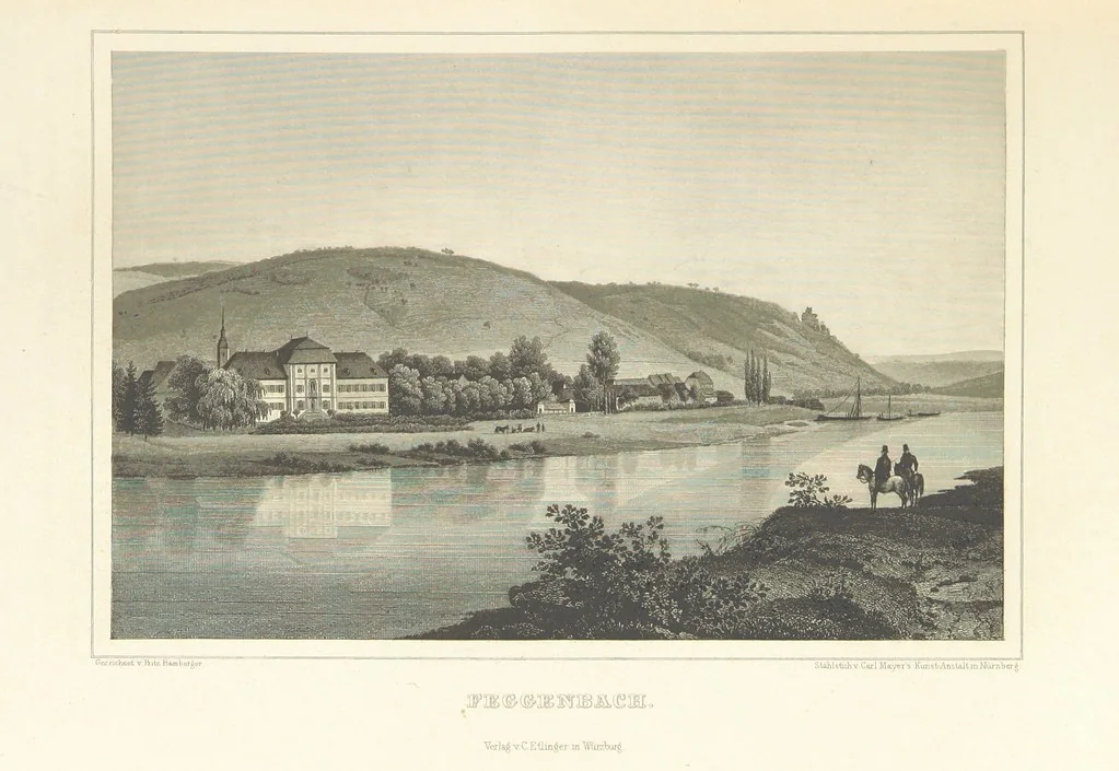 An illustration from Die Mainufer und ihre nächsten Umgebungen ... Mit 54 Stahlstichen, nach Originalzeichnungen von Fritz Bamberger. Nebst einer Stromkarte vom Main, 1844, leaf 425