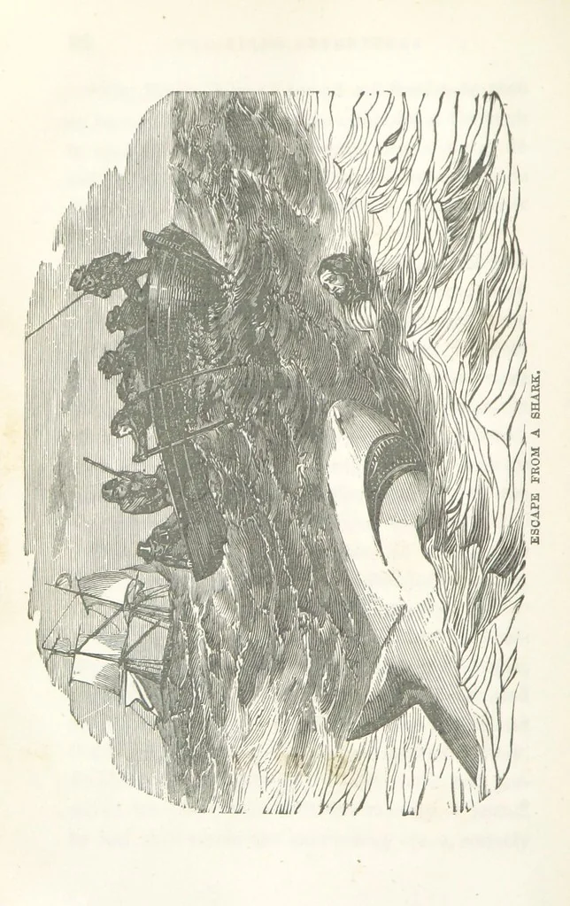 An illustration from Thrilling Adventures by Land and Sea. Being remarkable historical facts gathered from authentic sources. [With plates, 1852, leaf 100