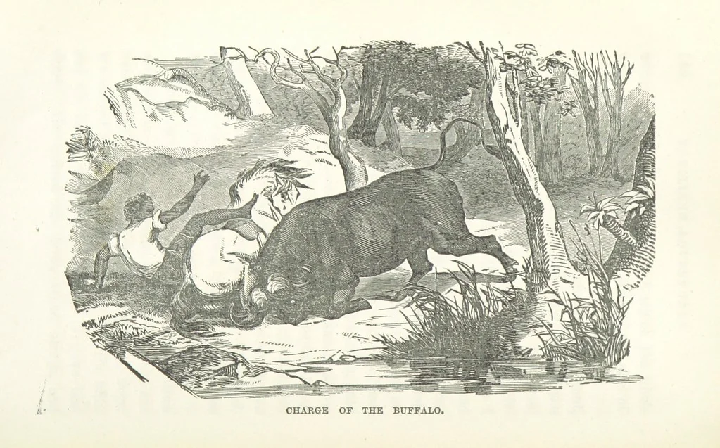 An illustration from Thrilling Adventures by Land and Sea. Being remarkable historical facts gathered from authentic sources. [With plates, 1852, leaf 150