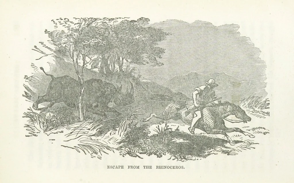 An illustration from Thrilling Adventures by Land and Sea. Being remarkable historical facts gathered from authentic sources. [With plates, 1852, leaf 255