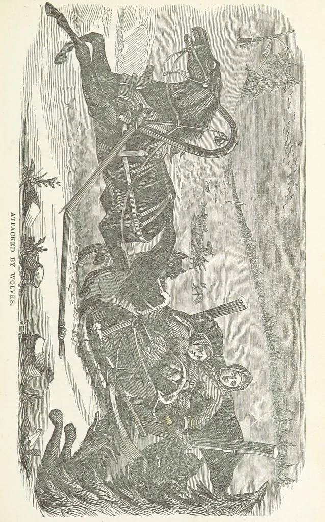 An illustration from Thrilling Adventures by Land and Sea. Being remarkable historical facts gathered from authentic sources. [With plates, 1852, leaf 341