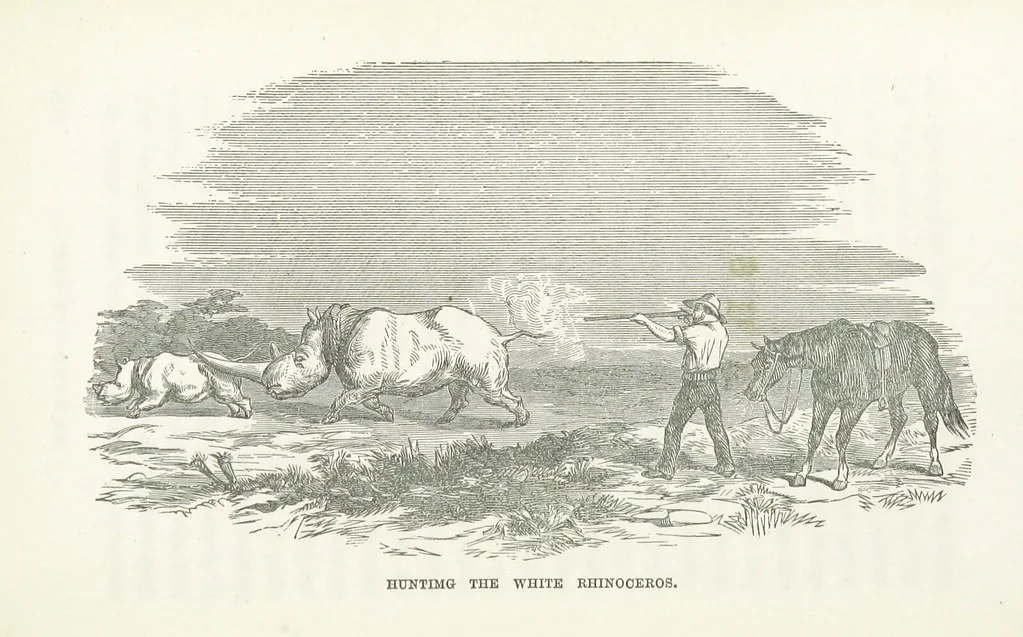 An illustration from Thrilling Adventures by Land and Sea. Being remarkable historical facts gathered from authentic sources. [With plates, 1852, leaf 463