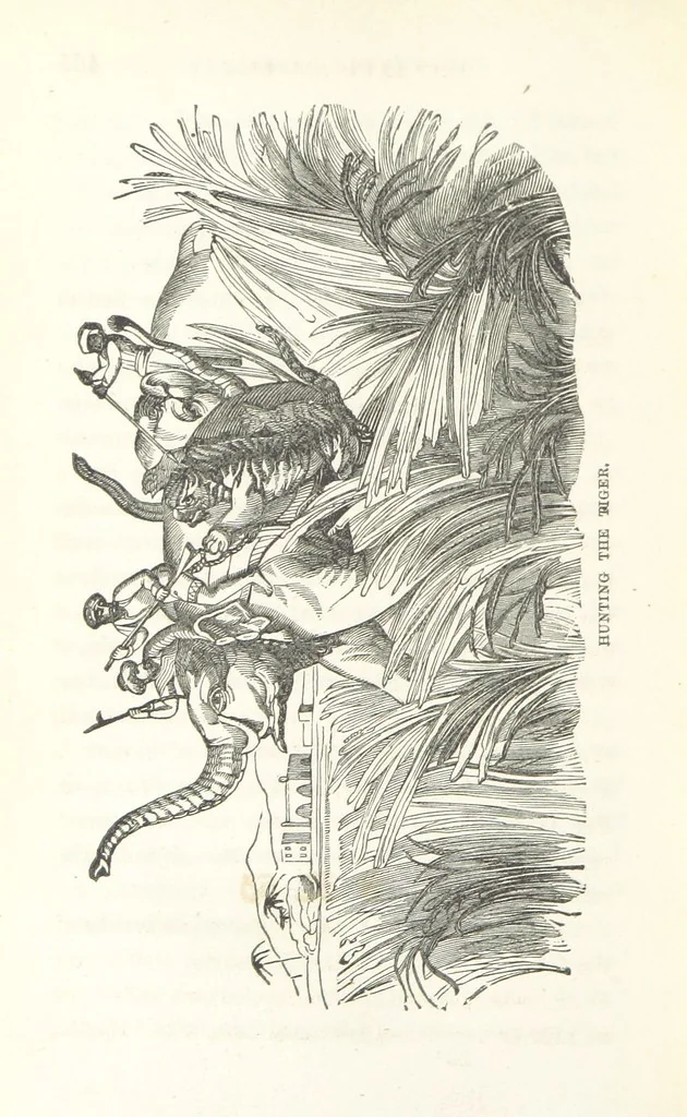 An illustration from Thrilling Adventures by Land and Sea. Being remarkable historical facts gathered from authentic sources. [With plates, 1852, leaf 472