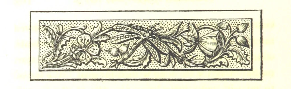 An illustration from Letters from Portugal, Spain, Sicily, and Malta, in 1812, 1813, and 1814, 1875, leaf 120