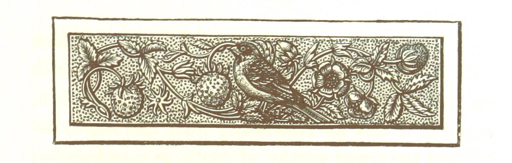 An illustration from Letters from Portugal, Spain, Sicily, and Malta, in 1812, 1813, and 1814, 1875, leaf 13