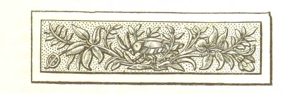 An illustration from Letters from Portugal, Spain, Sicily, and Malta, in 1812, 1813, and 1814, 1875, leaf 145