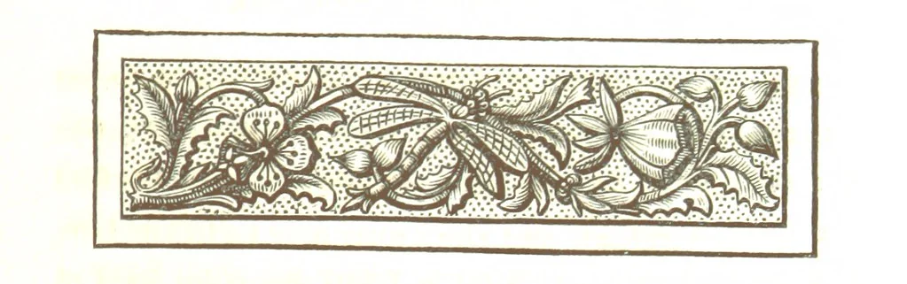 An illustration from Letters from Portugal, Spain, Sicily, and Malta, in 1812, 1813, and 1814, 1875, leaf 155