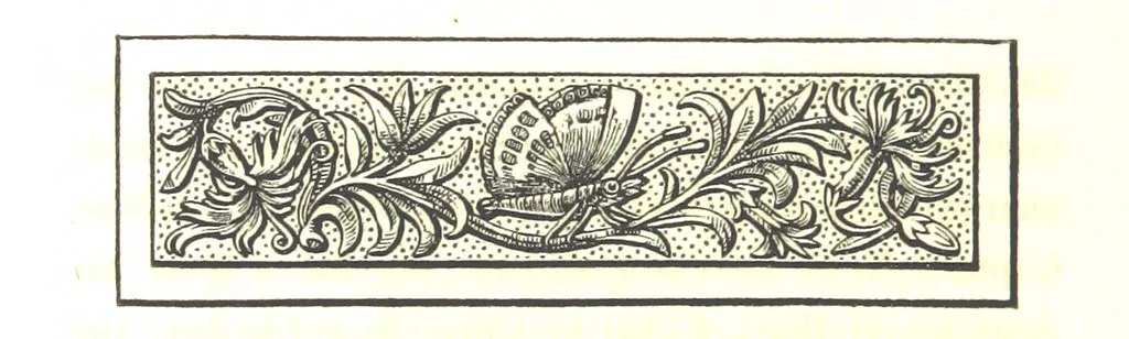 An illustration from Letters from Portugal, Spain, Sicily, and Malta, in 1812, 1813, and 1814, 1875, leaf 162