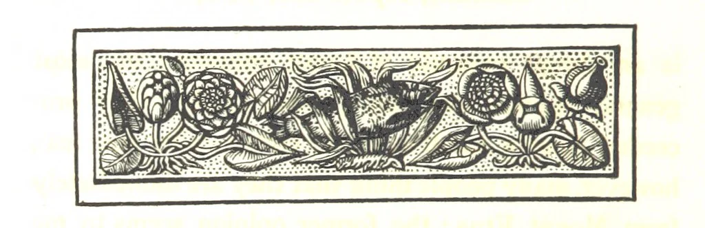 An illustration from Letters from Portugal, Spain, Sicily, and Malta, in 1812, 1813, and 1814, 1875, leaf 230