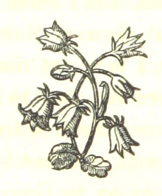 An illustration from Letters from Portugal, Spain, Sicily, and Malta, in 1812, 1813, and 1814, 1875, leaf 248