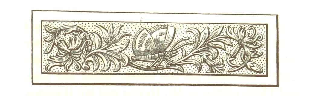 An illustration from Letters from Portugal, Spain, Sicily, and Malta, in 1812, 1813, and 1814, 1875, leaf 251