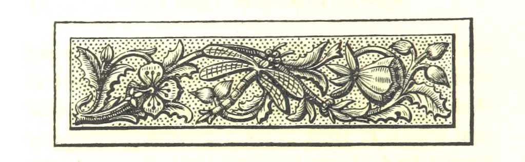 An illustration from Letters from Portugal, Spain, Sicily, and Malta, in 1812, 1813, and 1814, 1875, leaf 40