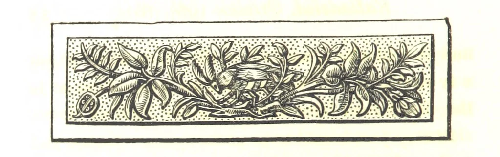An illustration from Letters from Portugal, Spain, Sicily, and Malta, in 1812, 1813, and 1814, 1875, leaf 46