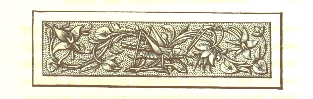 An illustration from Letters from Portugal, Spain, Sicily, and Malta, in 1812, 1813, and 1814, 1875, leaf 49