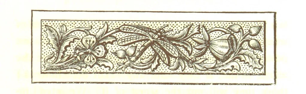 An illustration from Letters from Portugal, Spain, Sicily, and Malta, in 1812, 1813, and 1814, 1875, leaf 57
