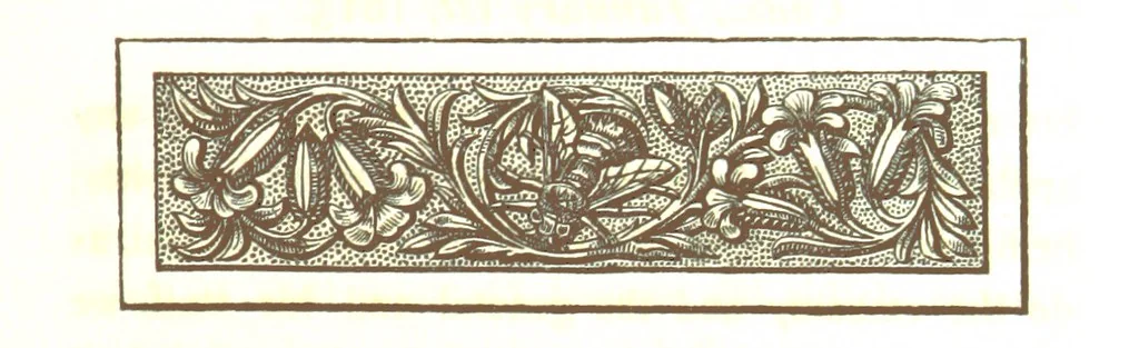 An illustration from Letters from Portugal, Spain, Sicily, and Malta, in 1812, 1813, and 1814, 1875, leaf 73