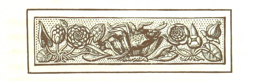 An illustration from Letters from Portugal, Spain, Sicily, and Malta, in 1812, 1813, and 1814, 1875, leaf 89
