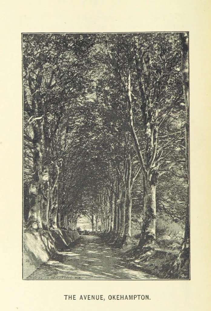 An illustration from Some Account of the Barony and Town of Okehampton ... Including the journals kept by Messrs. Rattenbury and Shebbeare ... from the 21 James I., to the death of William III.; with notes genealogical, descriptive, and explanatory ... Edited and enlarged from the collections made by W. B. Bridges, the Rev. C. Thomas and the Rev. H. G. Fothergill ... A new edition, with additional chapters, edited by W. H. K. Wright, 1889, leaf 116