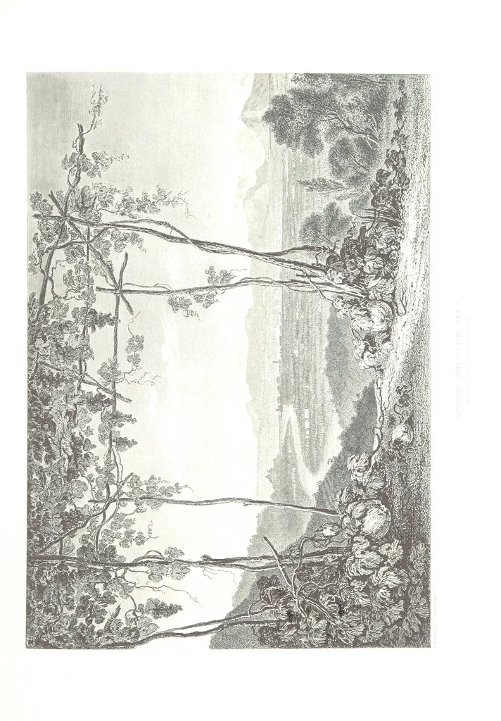 An illustration from Illustrations of the Passes of the Alps, by which Italy communicates with France, Switzerland, and Germany, 1877, leaf 105
