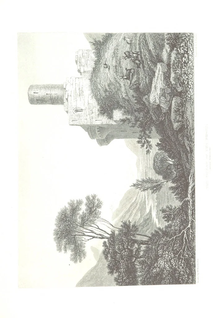 An illustration from Illustrations of the Passes of the Alps, by which Italy communicates with France, Switzerland, and Germany, 1877, leaf 163