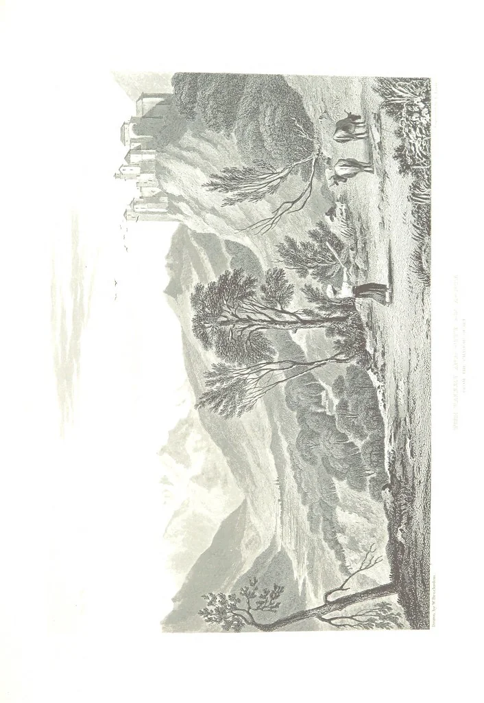 An illustration from Illustrations of the Passes of the Alps, by which Italy communicates with France, Switzerland, and Germany, 1877, leaf 171