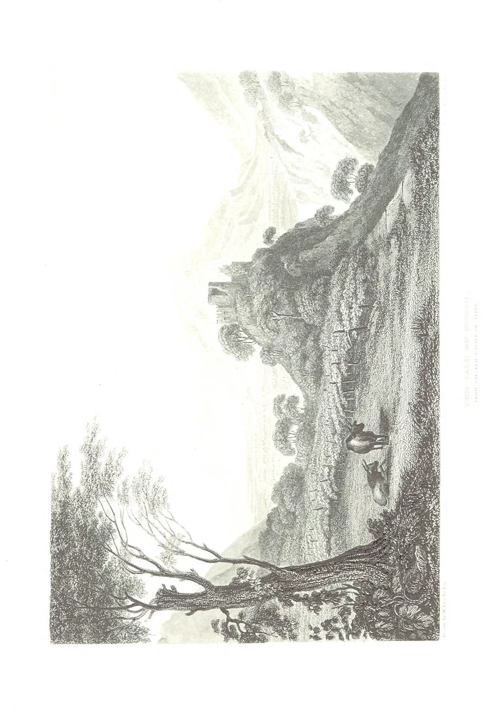 An illustration from Illustrations of the Passes of the Alps, by which Italy communicates with France, Switzerland, and Germany, 1877, leaf 195