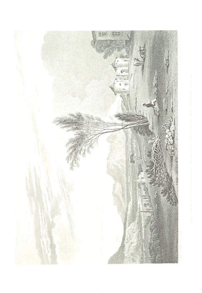 An illustration from Illustrations of the Passes of the Alps, by which Italy communicates with France, Switzerland, and Germany, 1877, leaf 27