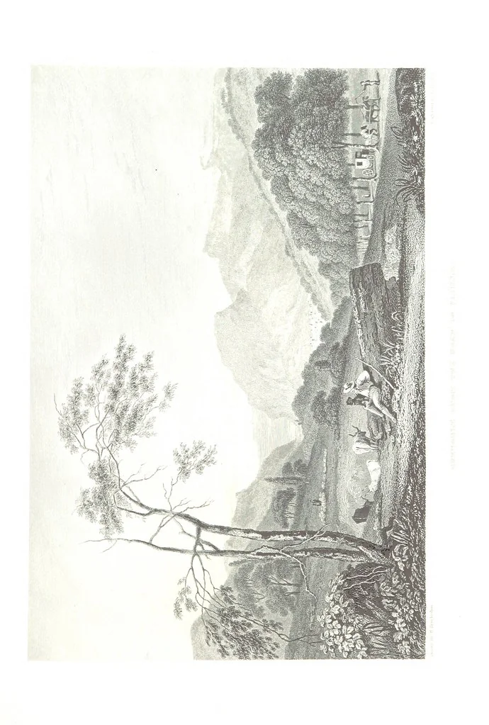 An illustration from Illustrations of the Passes of the Alps, by which Italy communicates with France, Switzerland, and Germany, 1877, leaf 71