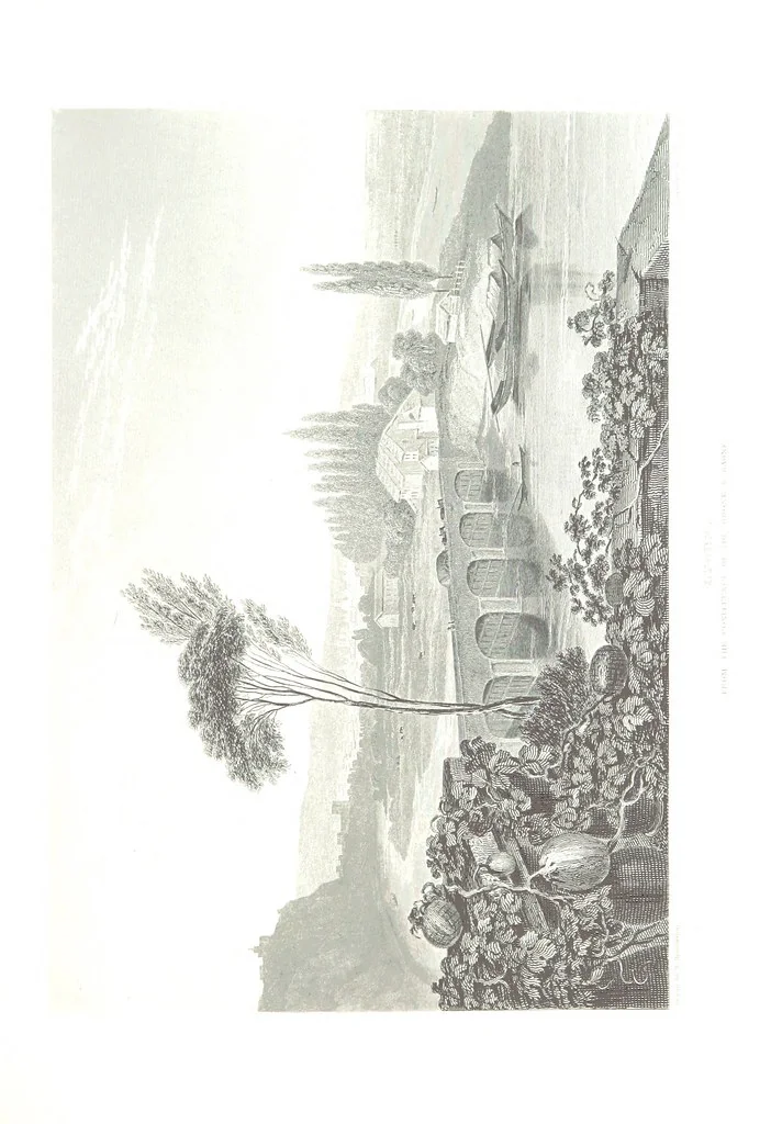 An illustration from Illustrations of the Passes of the Alps, by which Italy communicates with France, Switzerland, and Germany, 1877, leaf 95