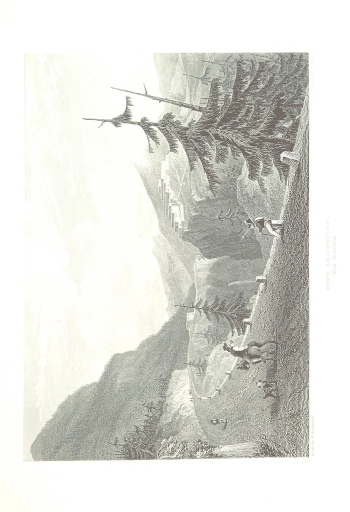 An illustration from Illustrations of the Passes of the Alps, by which Italy communicates with France, Switzerland, and Germany, 1877, leaf 99