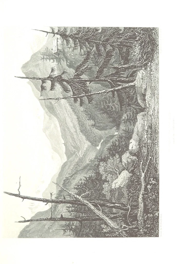 An illustration from Illustrations of the Passes of the Alps, by which Italy communicates with France, Switzerland, and Germany, 1877, leaf 125