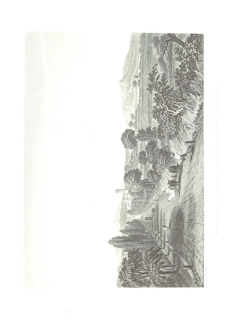 An illustration from Illustrations of the Passes of the Alps, by which Italy communicates with France, Switzerland, and Germany, 1877, leaf 217