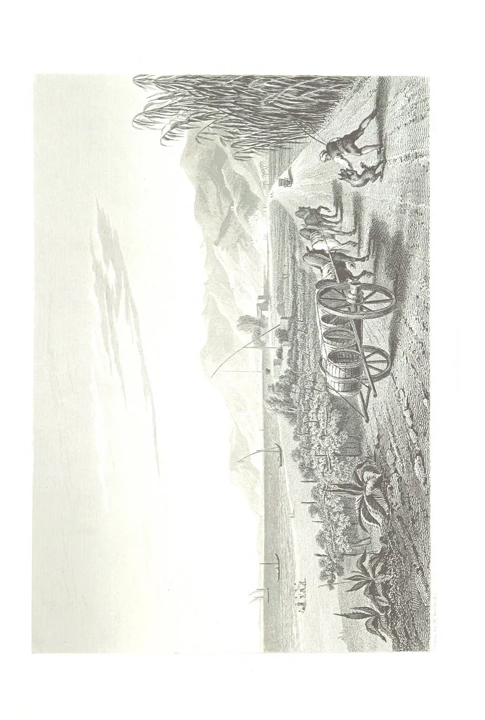 An illustration from Illustrations of the Passes of the Alps, by which Italy communicates with France, Switzerland, and Germany, 1877, leaf 29