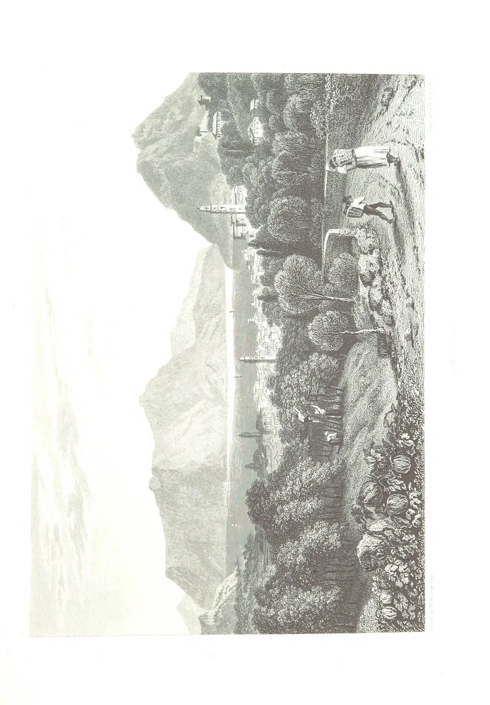 An illustration from Illustrations of the Passes of the Alps, by which Italy communicates with France, Switzerland, and Germany, 1877, leaf 99