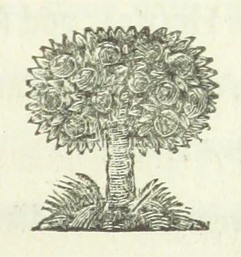 An illustration from Poems on several occasions, 1739, leaf 187