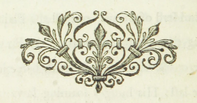 An illustration from Poems on several occasions, 1739, leaf 218