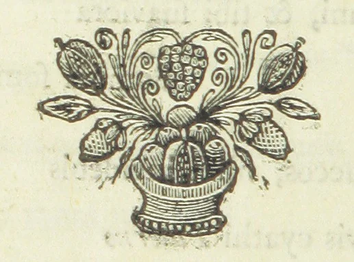 An illustration from Poems on several occasions, 1739, leaf 310