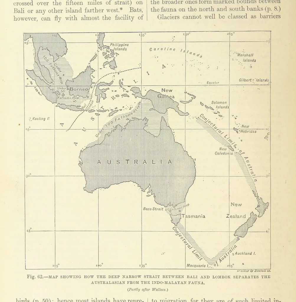 An illustration from Our Earth and its Story: a popular treatise on physical geography. Edited by R. Brown. With ... coloured plates and maps, etc, 1887, leaf 102