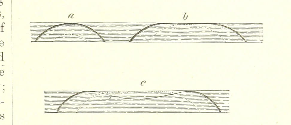 An illustration from Our Earth and its Story: a popular treatise on physical geography. Edited by R. Brown. With ... coloured plates and maps, etc, 1887, leaf 113