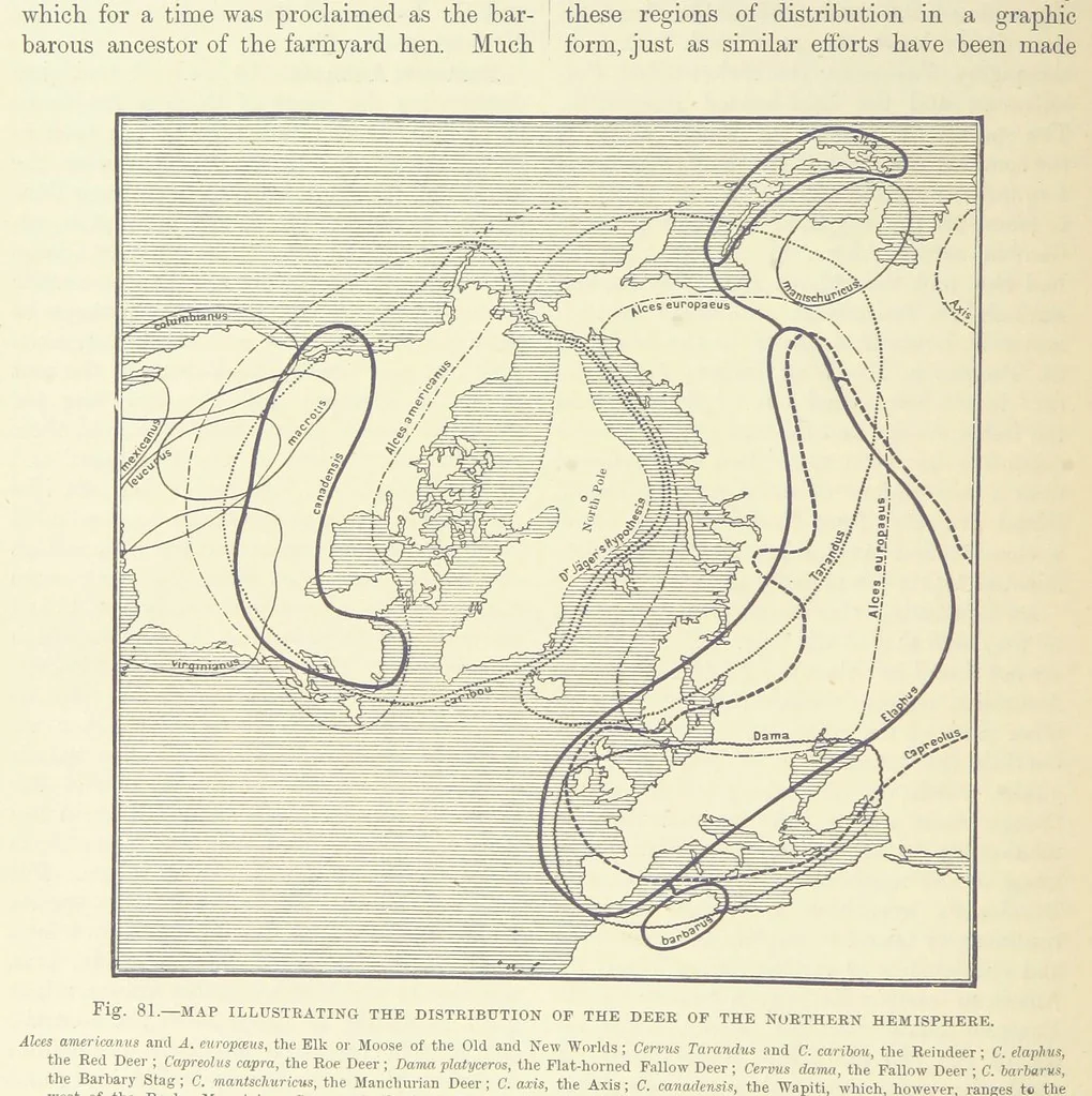 An illustration from Our Earth and its Story: a popular treatise on physical geography. Edited by R. Brown. With ... coloured plates and maps, etc, 1887, leaf 124