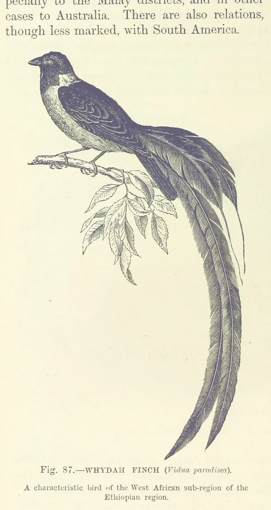 An illustration from Our Earth and its Story: a popular treatise on physical geography. Edited by R. Brown. With ... coloured plates and maps, etc, 1887, leaf 130