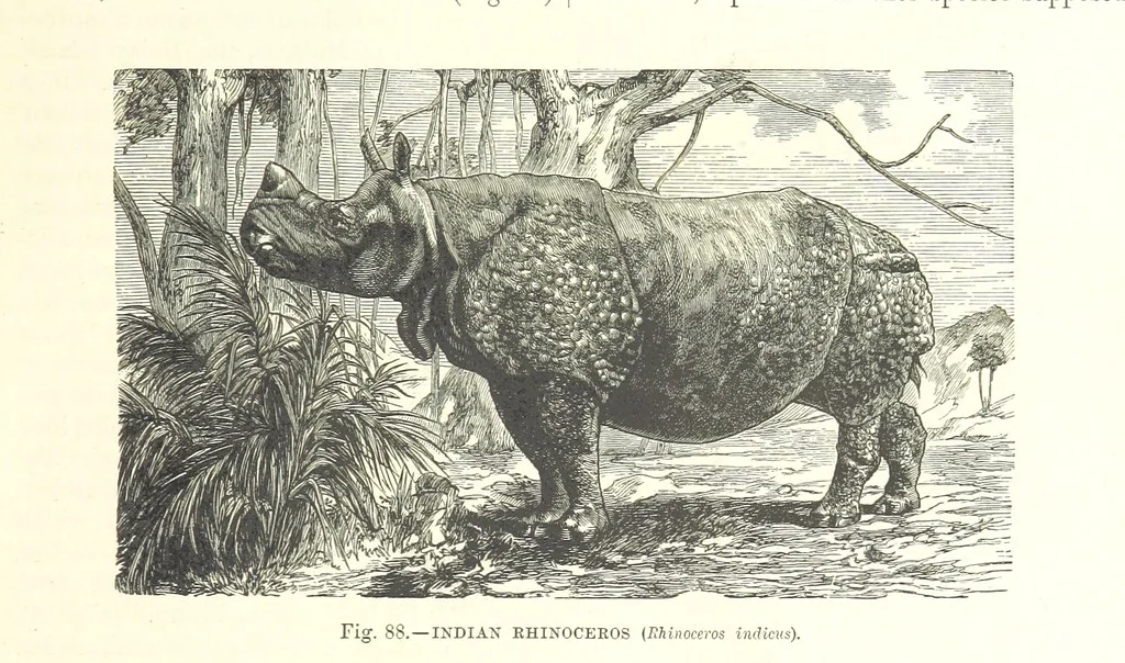 An illustration from Our Earth and its Story: a popular treatise on physical geography. Edited by R. Brown. With ... coloured plates and maps, etc, 1887, leaf 131