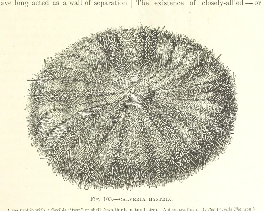 An illustration from Our Earth and its Story: a popular treatise on physical geography. Edited by R. Brown. With ... coloured plates and maps, etc, 1887, leaf 147