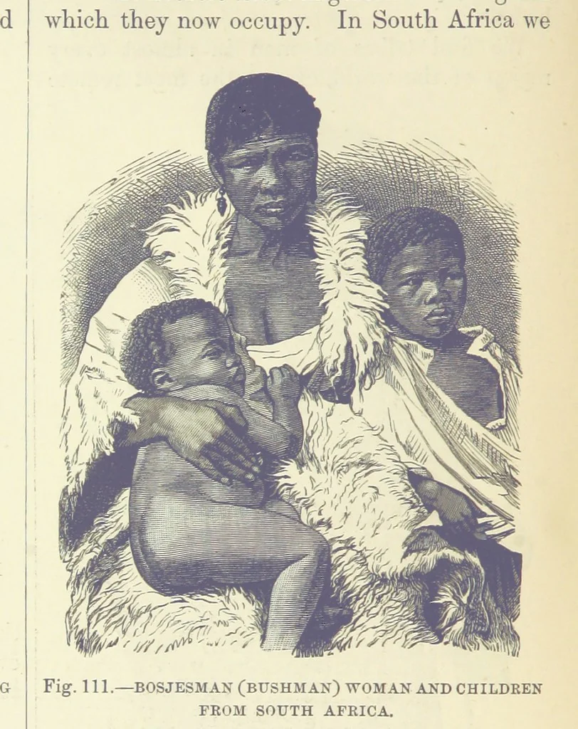 An illustration from Our Earth and its Story: a popular treatise on physical geography. Edited by R. Brown. With ... coloured plates and maps, etc, 1887, leaf 152