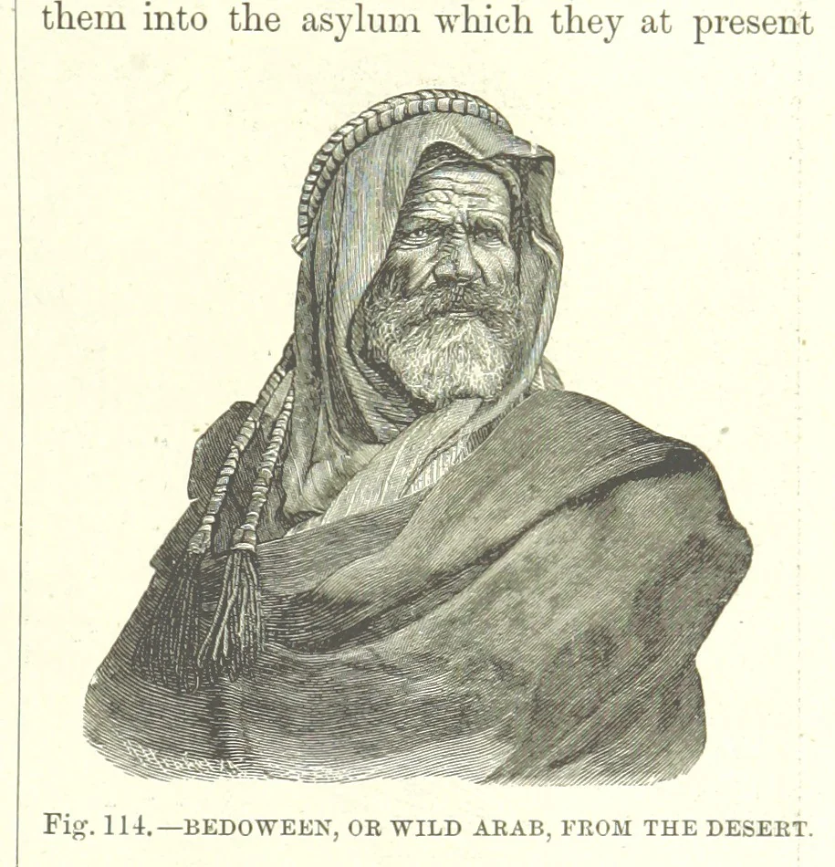 An illustration from Our Earth and its Story: a popular treatise on physical geography. Edited by R. Brown. With ... coloured plates and maps, etc, 1887, leaf 155
