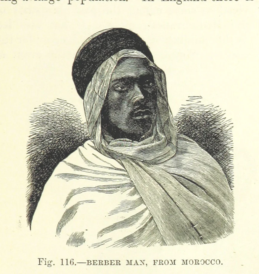 An illustration from Our Earth and its Story: a popular treatise on physical geography. Edited by R. Brown. With ... coloured plates and maps, etc, 1887, leaf 157