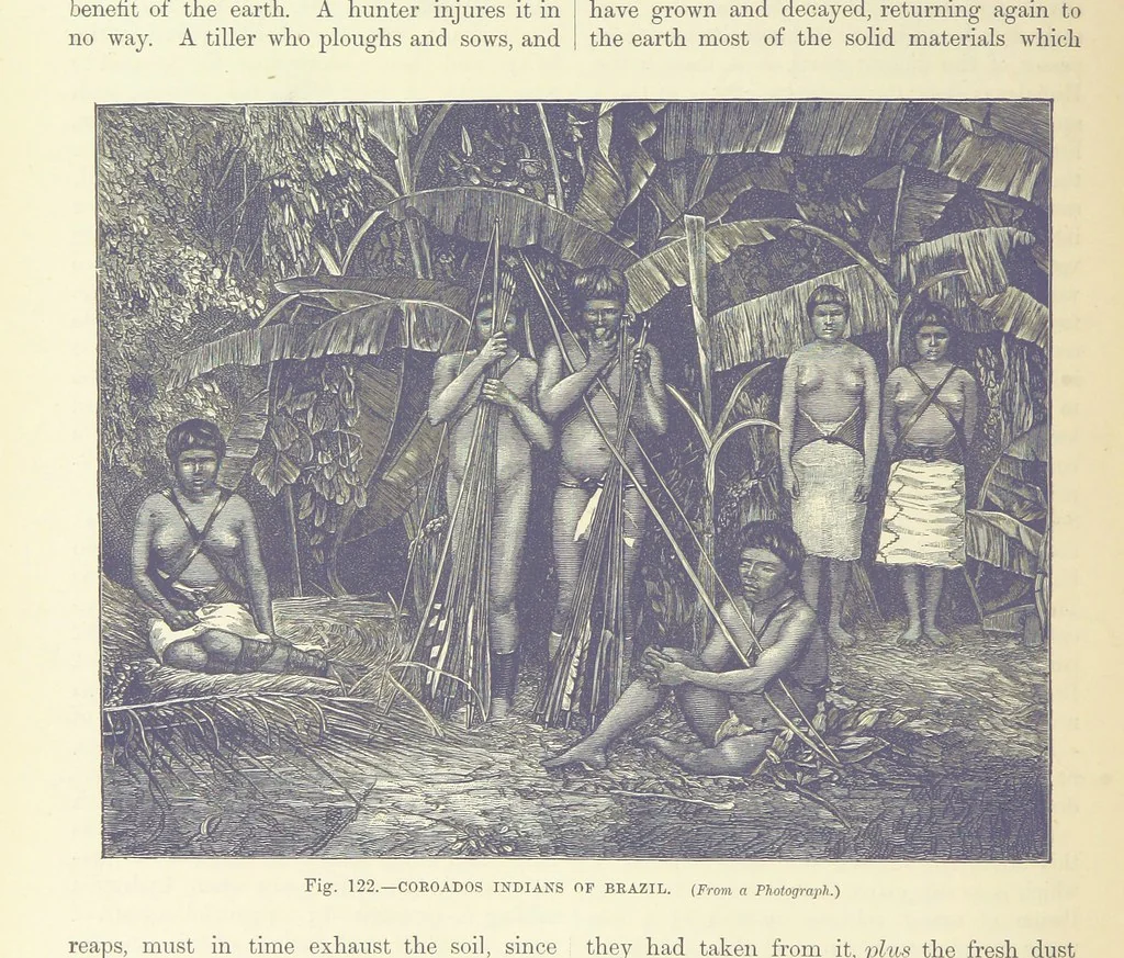 An illustration from Our Earth and its Story: a popular treatise on physical geography. Edited by R. Brown. With ... coloured plates and maps, etc, 1887, leaf 162